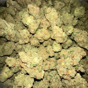JACK 
KINGS GARDEN 
FIRE SATIVA NOSE 
FROSTY NUGS