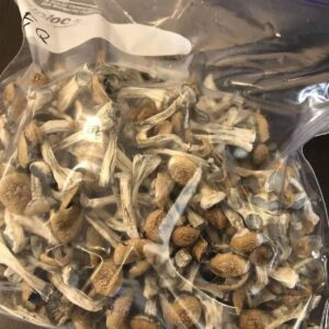MUSHROOMS