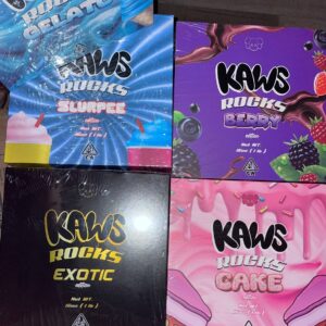 KAWS ROCKS EXOTIC